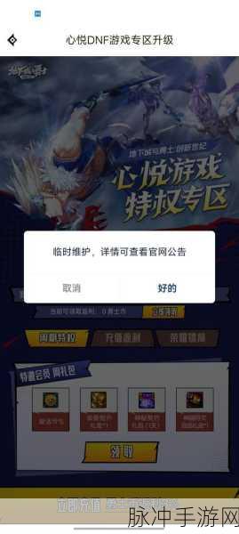 DNF 手游心悦 2 与官网预约的深度剖析