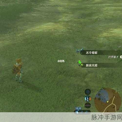 塞尔达传说，探寻耐火凤蝶的神秘刷新之地