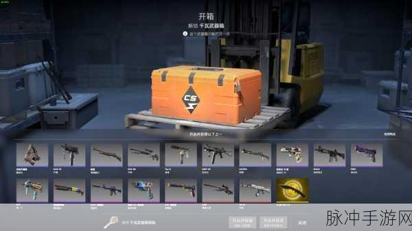 CSGO 萌新开箱指南，最佳选择大揭秘