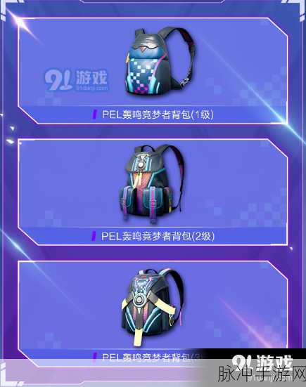 和平精英 PEL 轰鸣竞梦者套装价格全解析