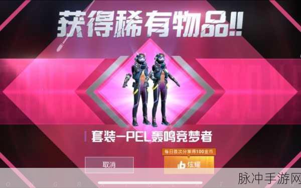 和平精英 PEL 轰鸣竞梦者套装价格全解析