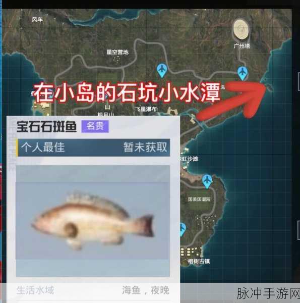 和平精英绿洲世界钓鱼秘籍，按键与技巧全解析