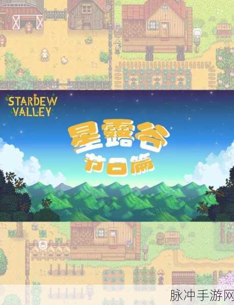 星露谷物语，探秘前往沙滩的奇妙之旅