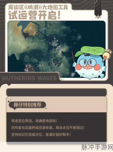 鸣潮妙宝堂宝箱开启秘籍大公开