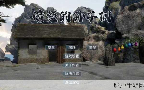 掌握愤怒的孙子们画面设置 畅享极致游戏体验