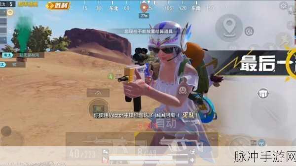 和平精英，细数那些令人讨厌的队友类型