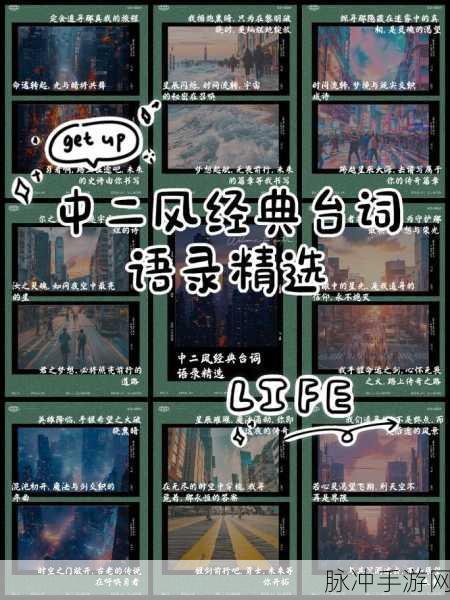 黎明之海，探寻月桂树的神秘所在
