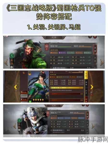 三国志战略版，张飞蜀枪阵容的无敌之选