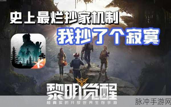 黎明觉醒，抄家秘籍大揭秘