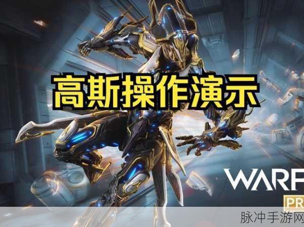 Warframe 异融矿枪与星际战甲异融量子枪的强力配卡指南