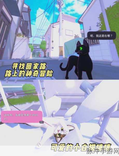 小猫咪大城市手游，快速午睡动作获取全攻略