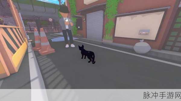 小猫咪大城市手游，快速午睡动作获取全攻略