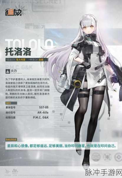 少女前线 2 追放新手必知的装备选择秘籍