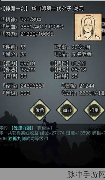 放置江湖中江湖一转所需经验的深度剖析