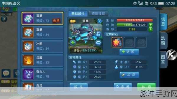 星辰奇缘圣骑加点秘籍大公开