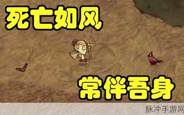 饥荒手游版回旋镖全攻略，制作与巧用秘籍