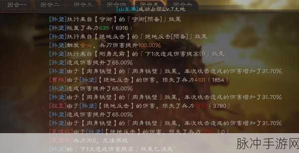三国志战略版孙坚技能全解析，助你称霸沙场