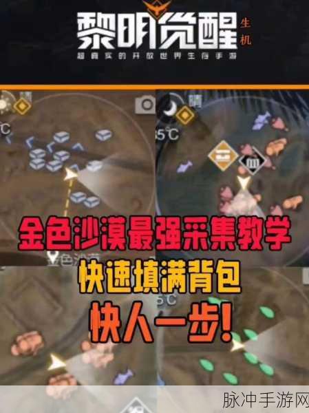 黎明觉醒，解锁金色图纸的终极指南