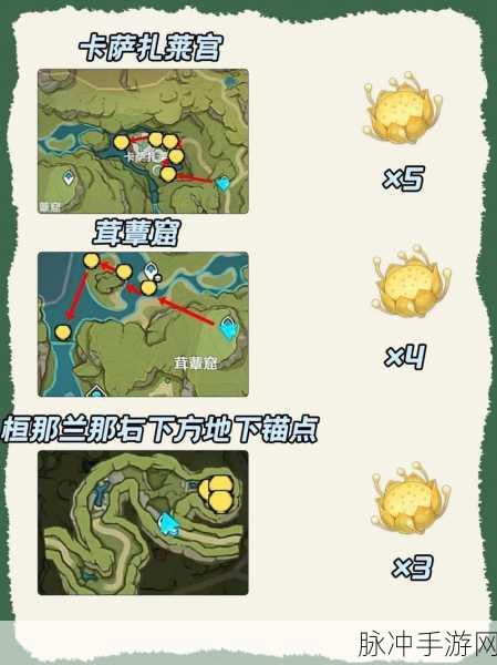 原神月莲采集秘籍，路线图与高效攻略全解析