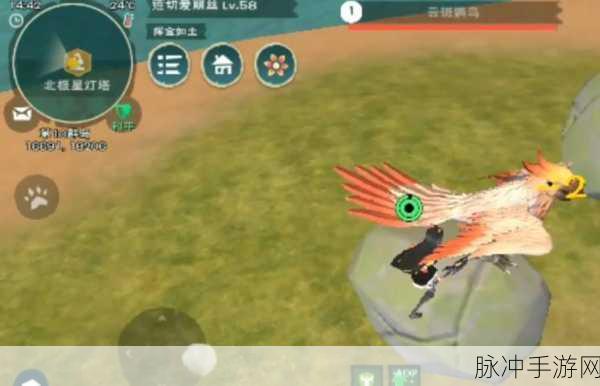 创造与魔法更新，云斑鹦鸟位置全揭秘