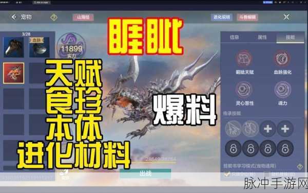 妄想山海新版本宠物战力大揭秘