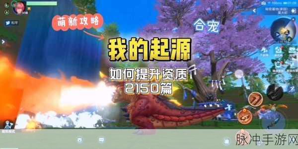 我的起源，加速宠物孵化秘籍大公开