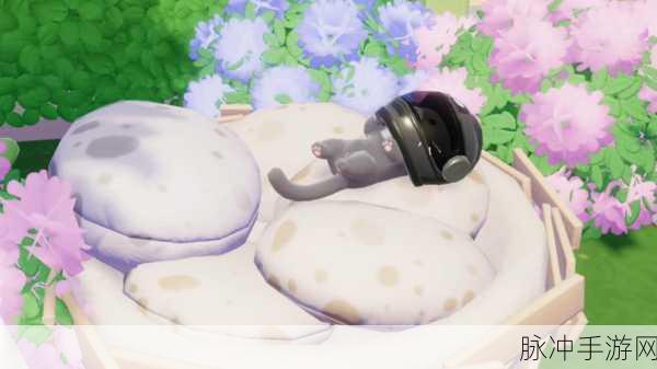 心动小镇，星星公主猫咪的美食偏好大揭秘