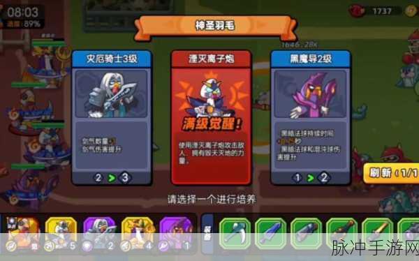 小鸡舰队出击氪金的深度剖析与性价比指南