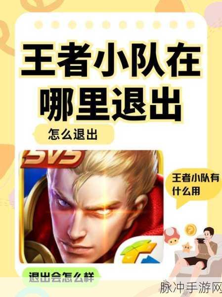 王者荣耀小队退出攻略全解析