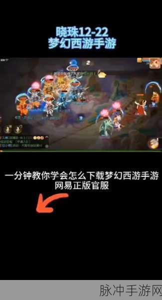 梦幻西游手游华为版官网，深度攻略与精彩玩法指南