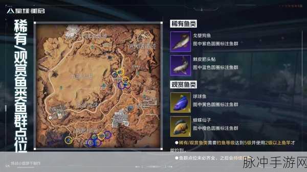 星球重启手游宠物抉择指南，助你称霸星际