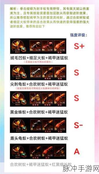 小小蚁国资源礼包与兑换码全揭秘