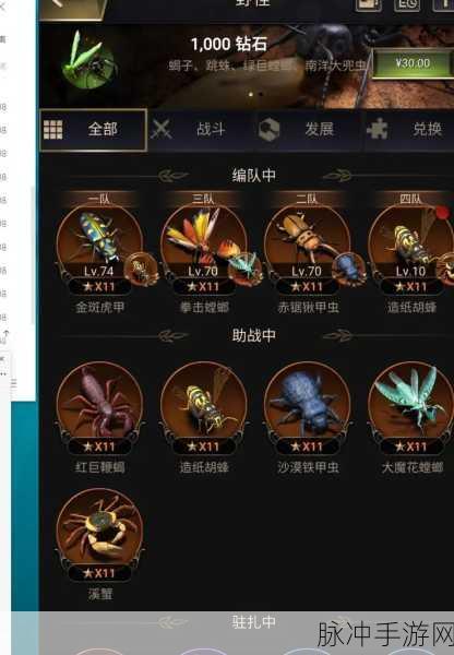 小小蚁国资源礼包与兑换码全揭秘