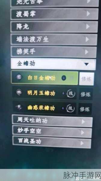 下一站江湖 2 乡试通关秘籍，轻松晋级之路