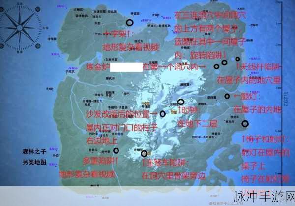 森林之子，轻松获取 3 张钥匙卡的全攻略