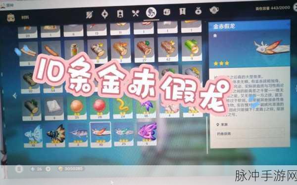 原神金赤假龙鱼饵全攻略