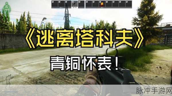 逃离塔科夫，探寻青铜怀表的神秘藏身之处