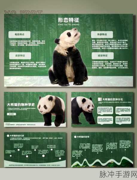 我的世界熊猫的奇妙用途全解析