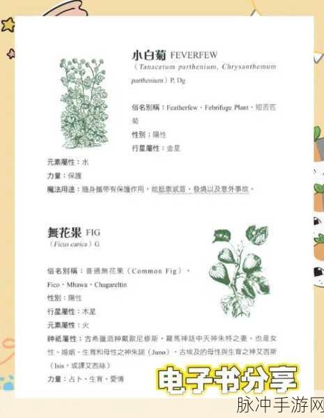 异世界慢生活，魔法植物与农作物全解析