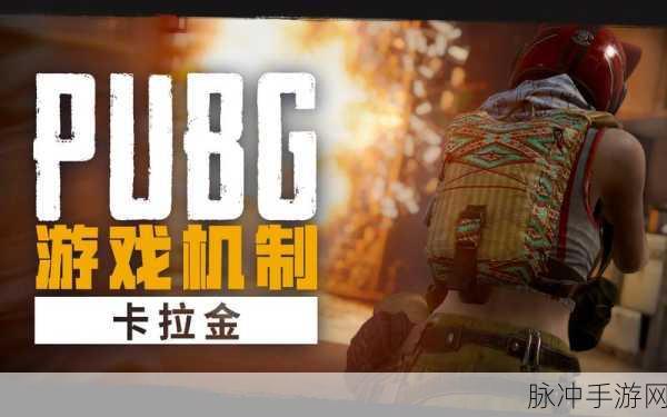 绝地求生国际服卡拉金畅玩秘籍
