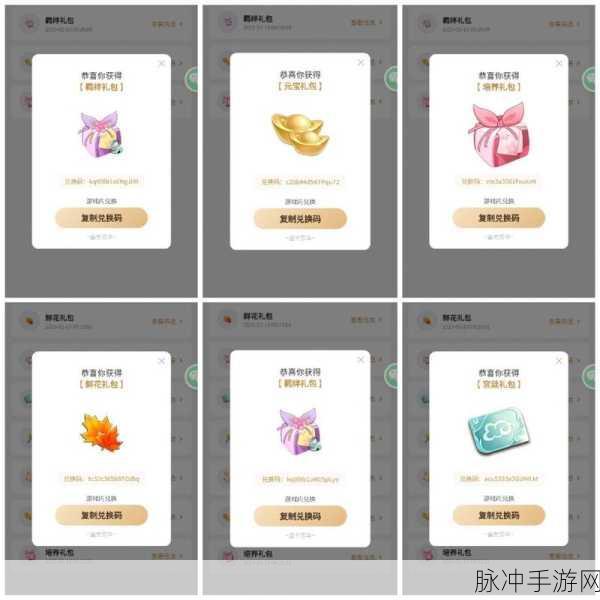 2024 盛世芳华礼包兑换码全攻略及输入指南