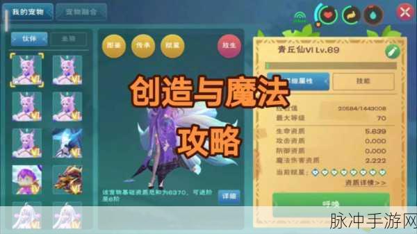 创造与魔法，2024 永久礼包码攻略秘籍大揭秘