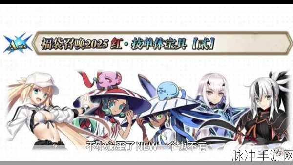 FGO 国服 2024 年新年福袋补宝具卡池深度解析