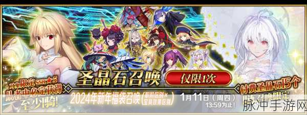 FGO 国服 2024 年新年福袋补宝具卡池深度解析