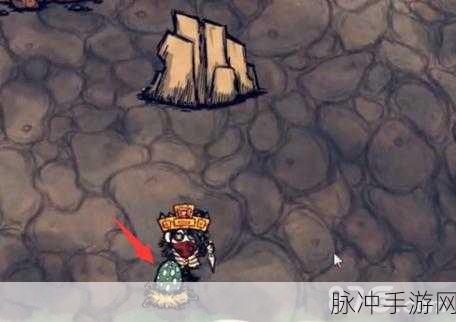 饥荒手游中高脚鸟蛋的奇妙用途大揭秘