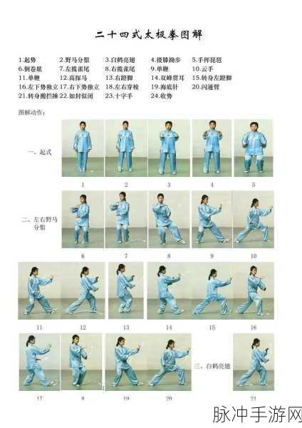 逸剑风云决太极拳获取与学习全攻略