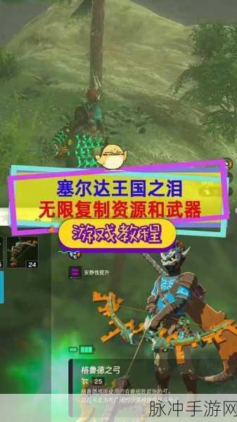 塞尔达传说王国之泪钻石无限复制秘籍大揭秘