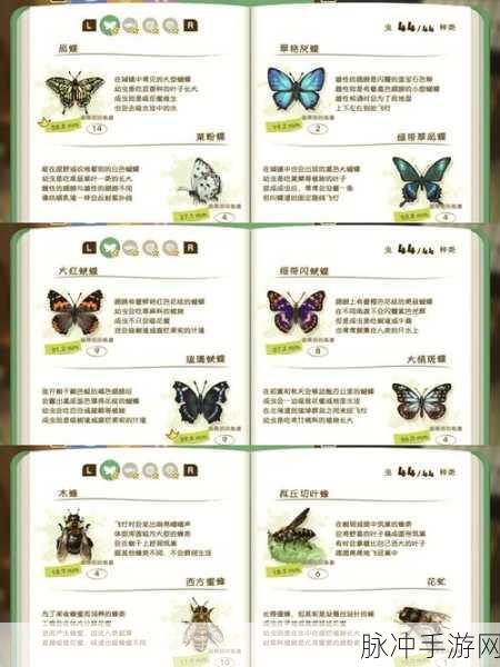 星露谷物语矿洞解锁秘籍大公开