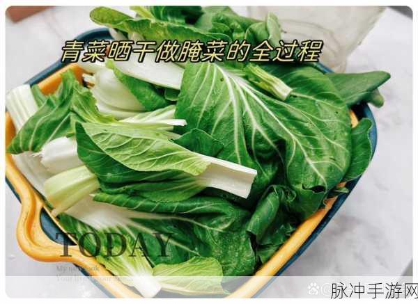 地下城堡 3 腌菜制作秘籍大公开