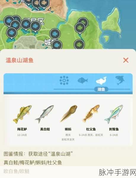 心动小镇手游联机玩法大揭秘